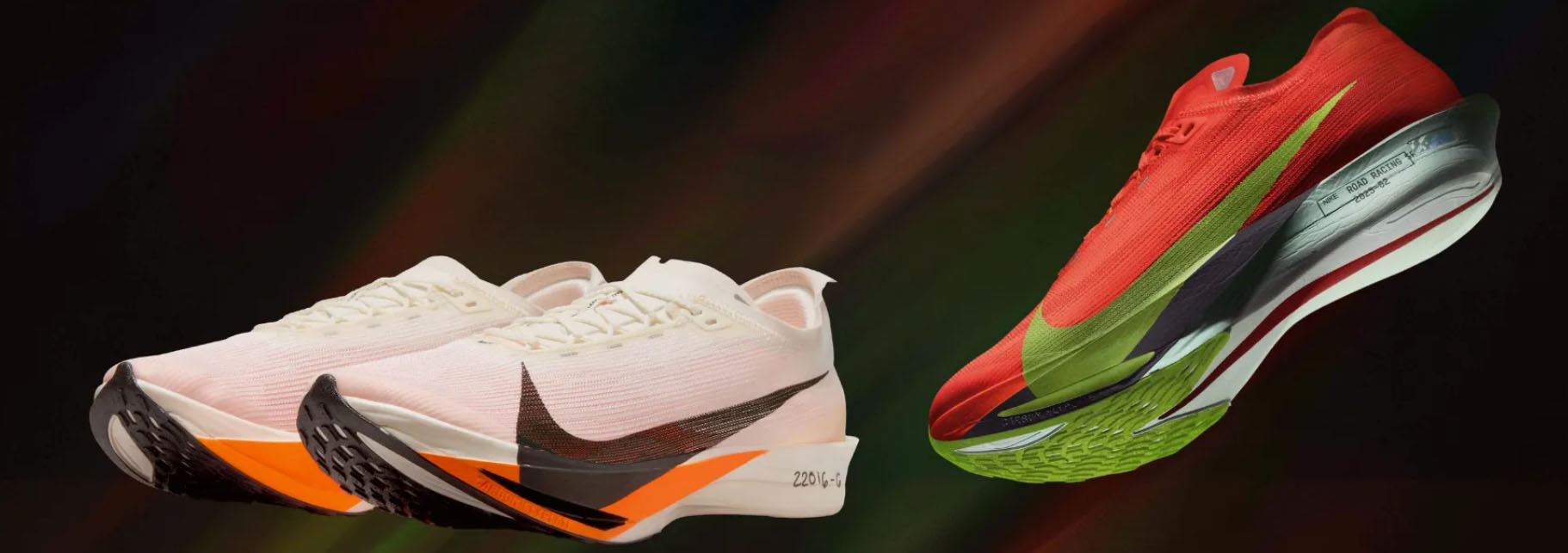 Shoe Specialty Store -Shoe Specialty Store qeqe